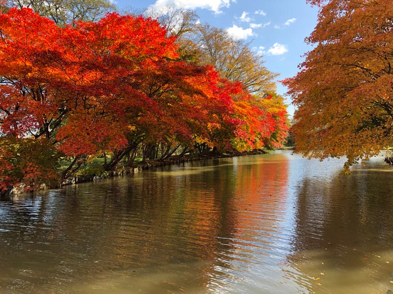 清水公園